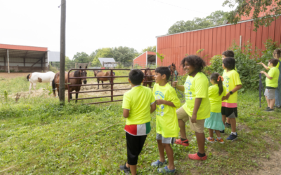 2026 STEAM Summer Week 3